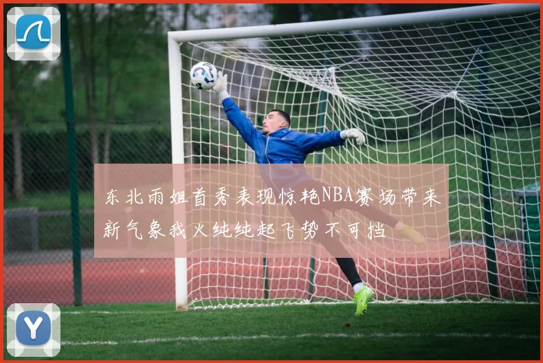东北雨姐首秀表现惊艳NBA赛场带来新气象我火纯纯起飞势不可挡