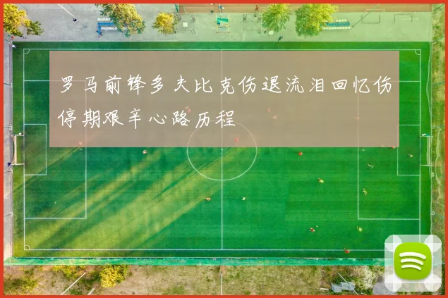 罗马前锋多夫比克伤退流泪回忆伤停期艰辛心路历程