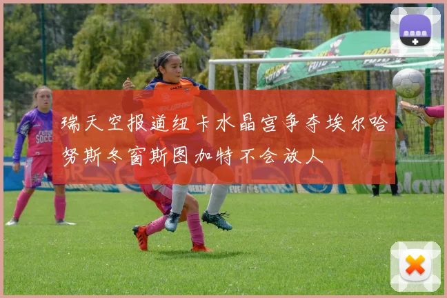 瑞天空报道纽卡水晶宫争夺埃尔哈努斯冬窗斯图加特不会放人